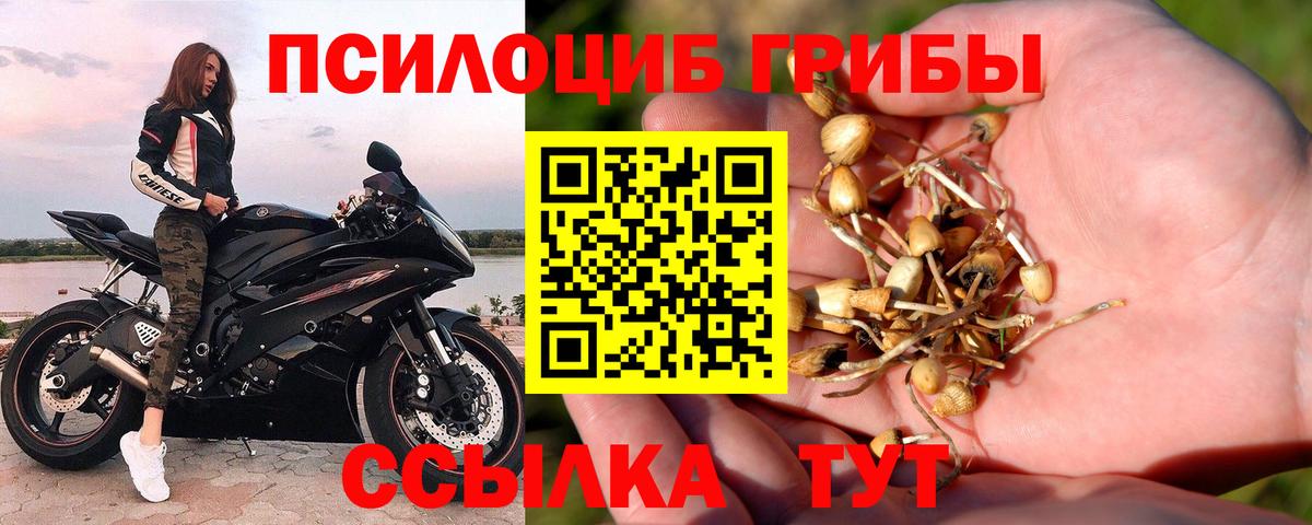 Галлюциногенные грибы MAGIC MUSHROOMS Братск